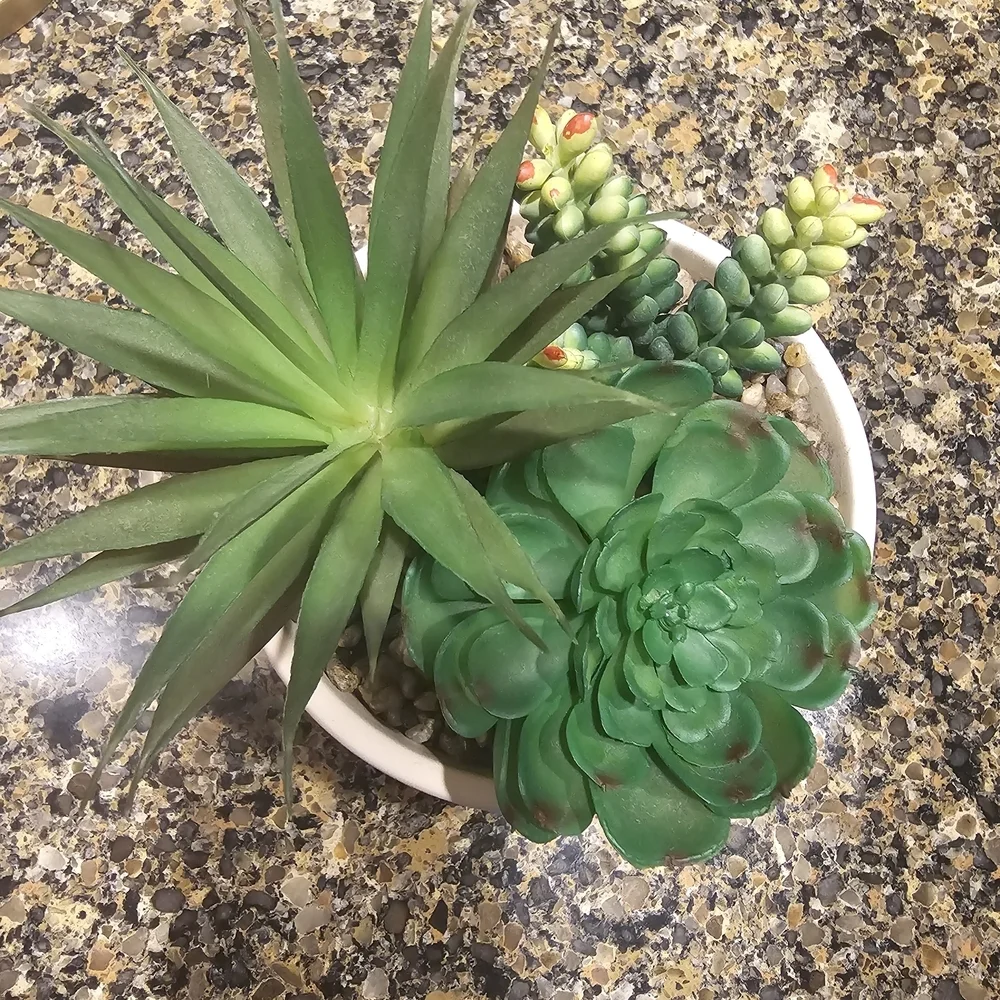 Artificial Green Succulent Arrangement in White Planter